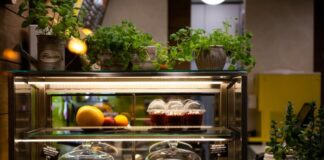 Czym należy kierować się podczas wyboru urządzeń chłodniczych dla lokalu gastronomicznego?